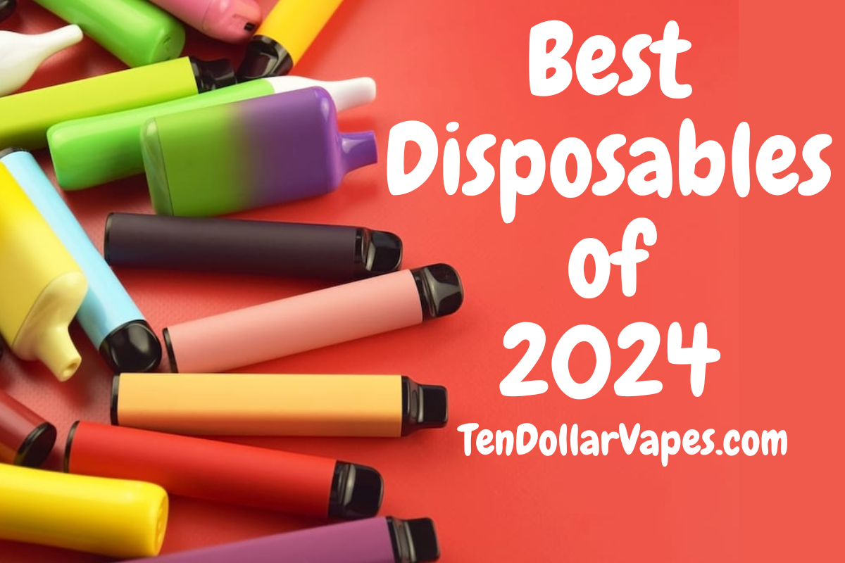 Best Disposables of 2024 | TenDollarVapes